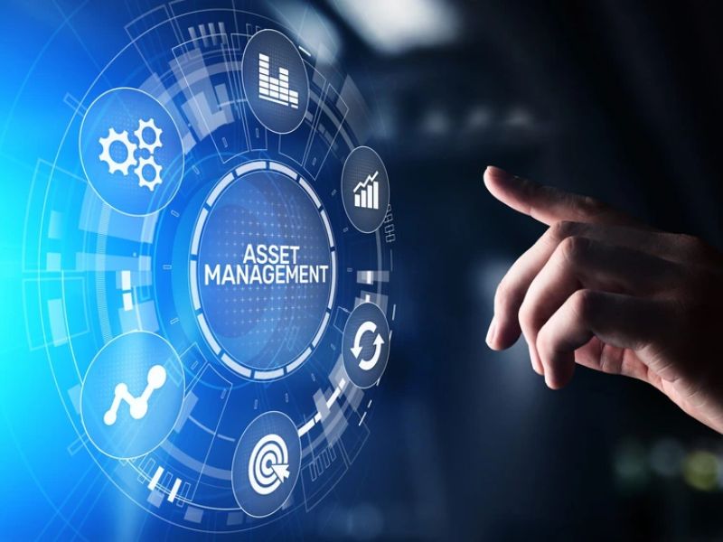 Data Asset Management Software